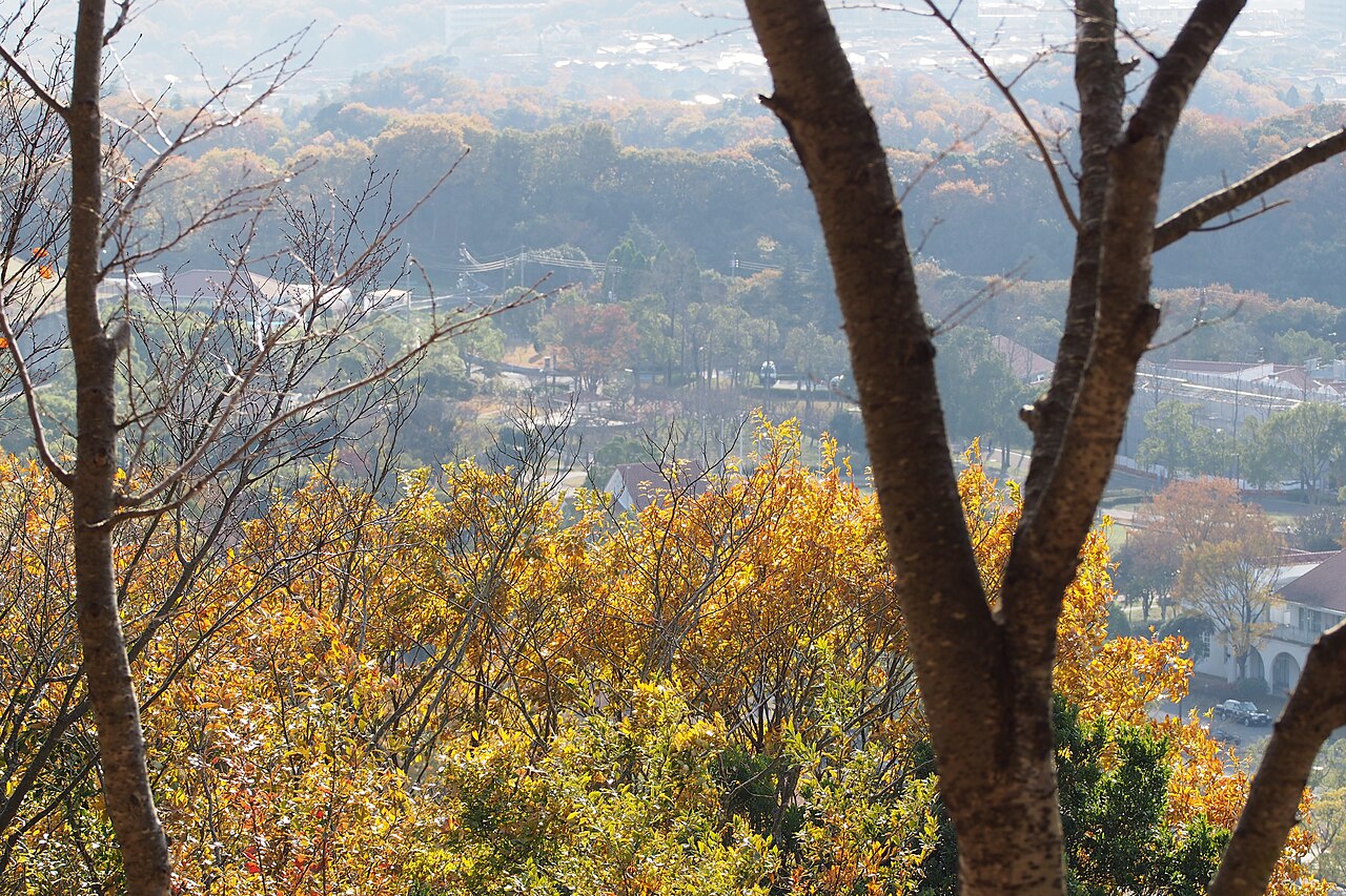 しあわせの村
