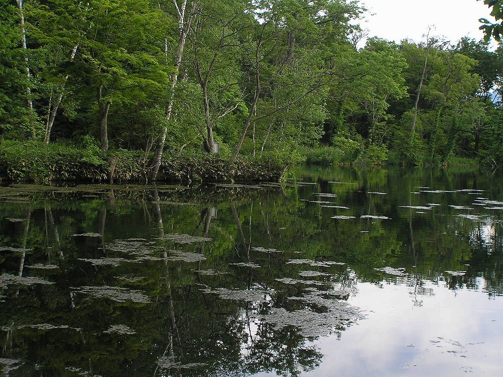 鳥沼公園（富良野）