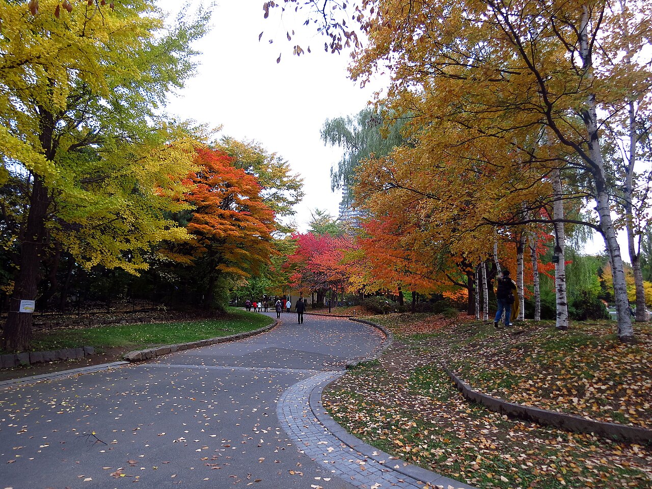 中島公園