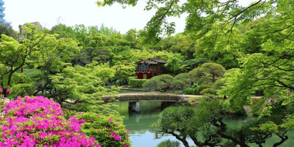 相楽園