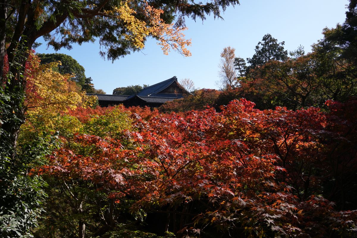 東福寺